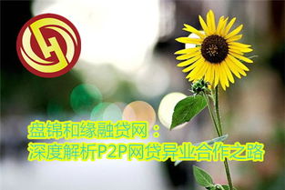 盘锦和缘融贷网 深度解析P2P网贷异业合作之路