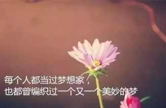 人生追求的经典句子